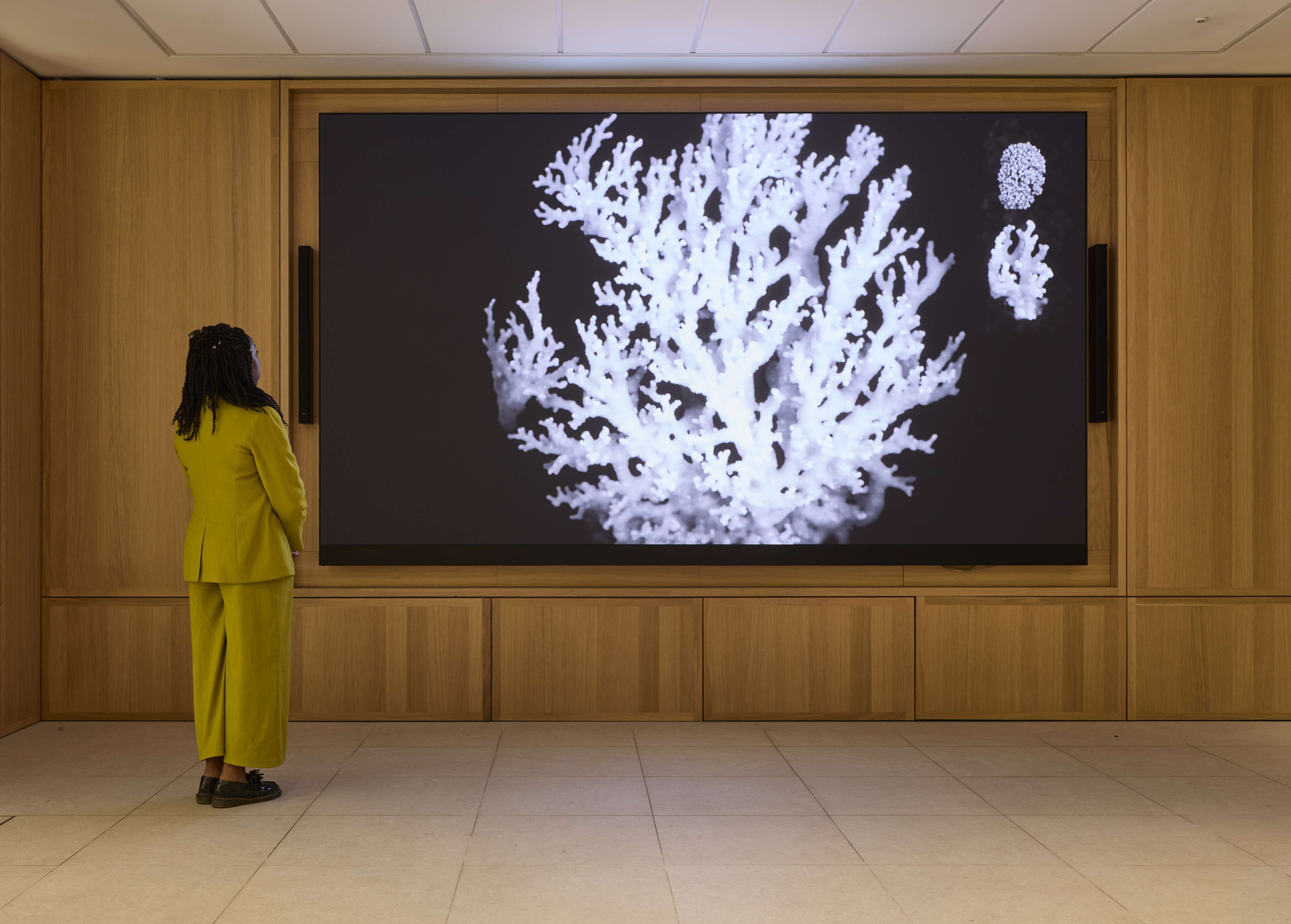 13. Installation View of Anna Ridler,  A Perfect Language of Images, at the Great Hall, Schwarzman Centre, University of Oxford. Photo © David Levene.jpg